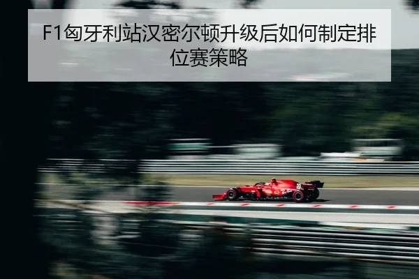 xiong-ya-li-zhan-han-mi-er-dun-sheng-ji-hou-ru-he-zhi-ding-pai-wei-sai-ce-lve-2-965.jpg