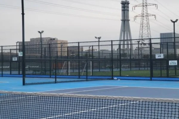 板球T20世界杯预选赛中国男队对阵阿联酋出线形势与胜负手分析